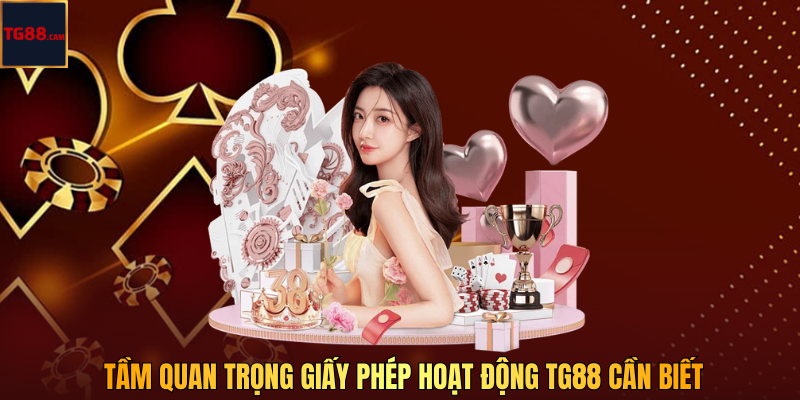 Tầm quan trọng giấy phép hoạt động TG88 cần biết