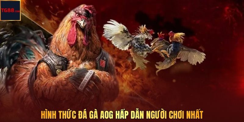 Hình thức đá gà AOG hấp dẫn người chơi nhất