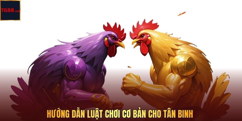Hướng dẫn luật chơi cơ bản cho tân binh 