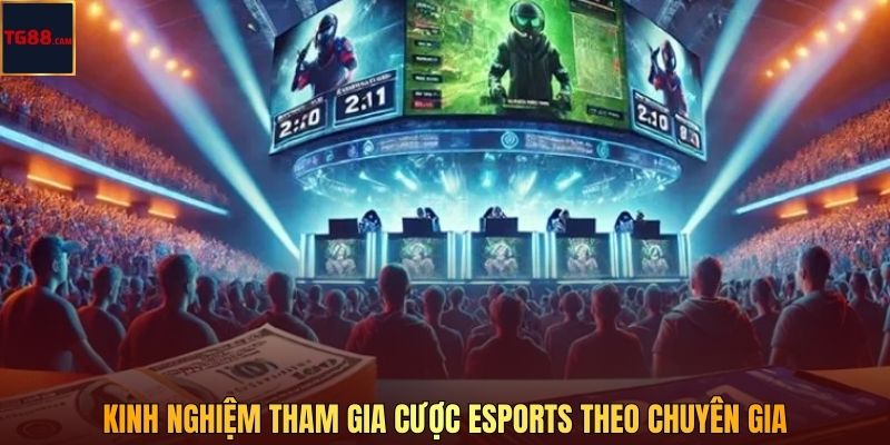 Kinh nghiệm tham gia cược esports theo chuyên gia