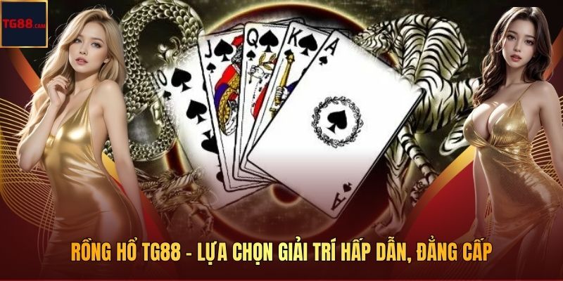 Rồng Hổ TG88 - Lựa Chọn Giải Trí Hấp Dẫn, Đẳng Cấp