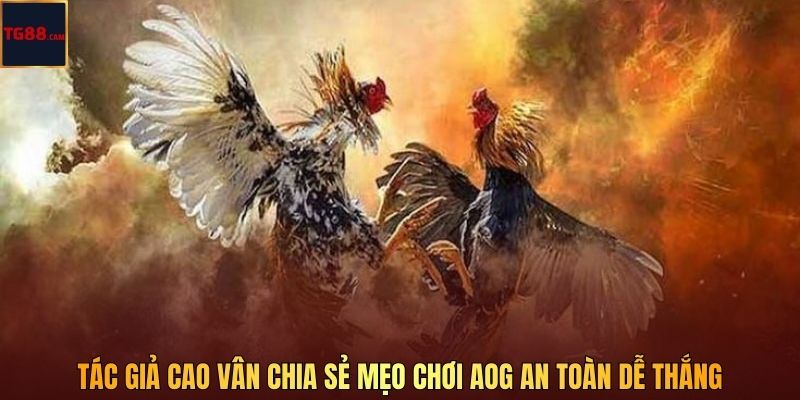 Tác giả Cao Vân chia sẻ mẹo chơi AOG an toàn dễ thắng