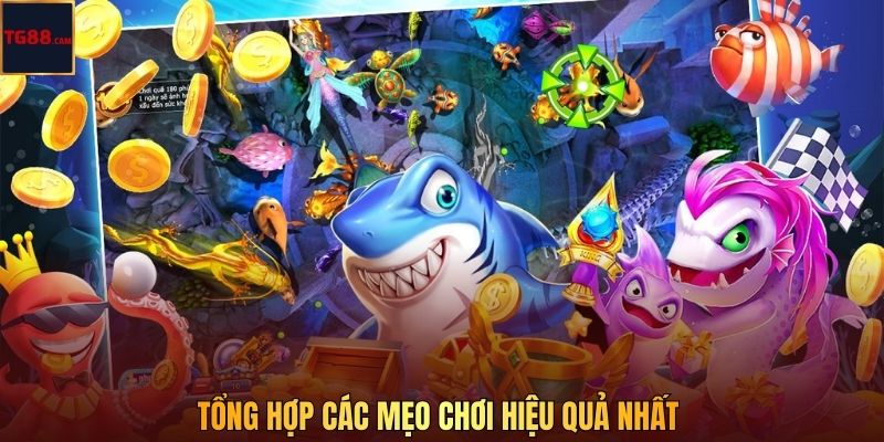Tổng hợp các mẹo chơi hiệu quả nhất 