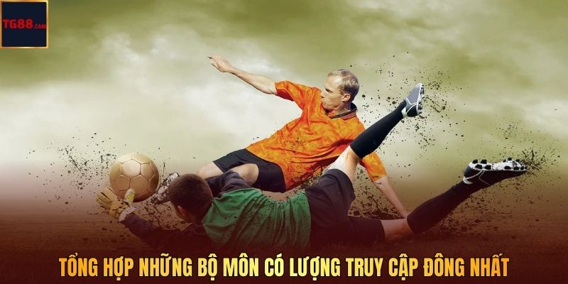 Tổng hợp những bộ môn có lượng truy cập đông nhất