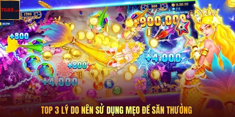 Top 3 lý do nên sử dụng mẹo để săn thưởng  