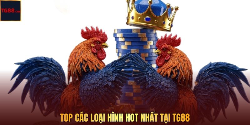 Top các loại hình hot nhất tại TG88