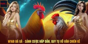 W168 Đá Gà – Sảnh Cược Hấp Dẫn, Quy Tụ Vô Vàn Chiến kê