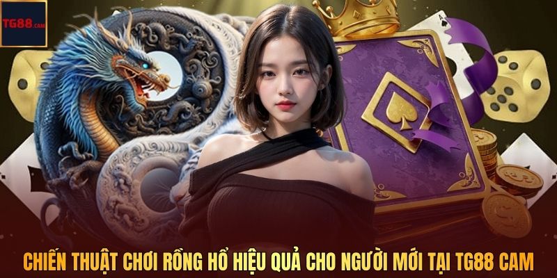 Chiến Thuật Chơi Rồng Hổ Hiệu Quả Cho Người Mới Tại TG88 CAM
