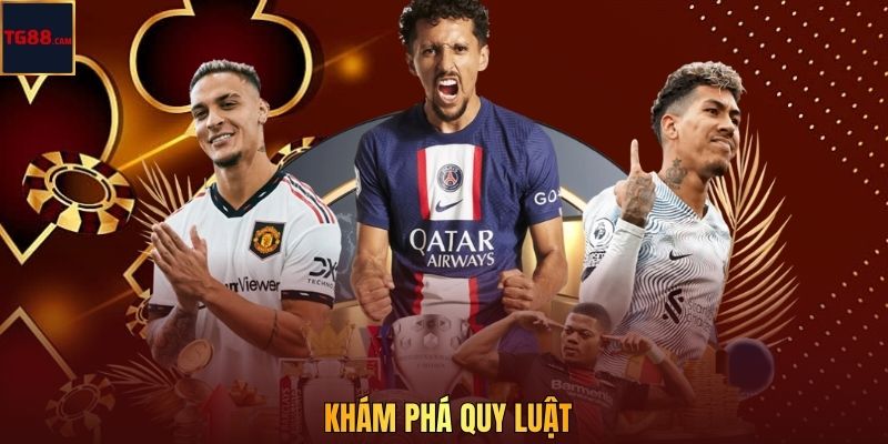 Khám phá quy luật