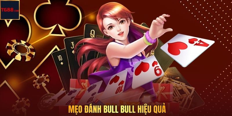 Mẹo đánh Bull Bull hiệu quả