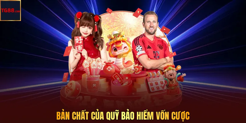 Bản chất của quỹ bảo hiểm vốn cược