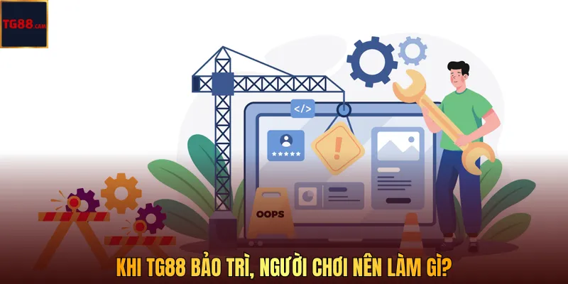 Khi TG88 bảo trì, người chơi nên làm gì?