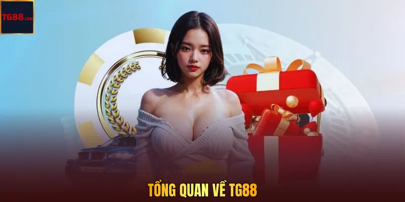 Tổng quan về TG88